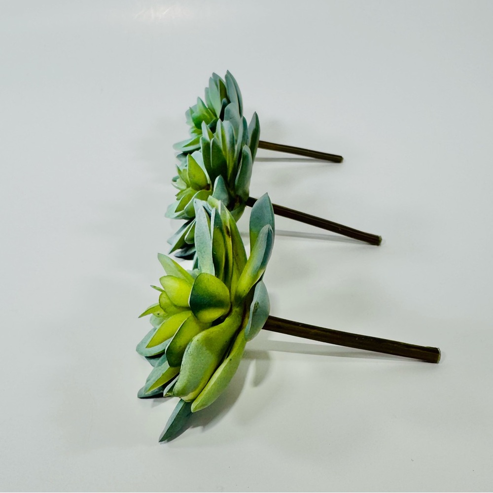 Faux Succulents (3x) - Picture 6 of 9